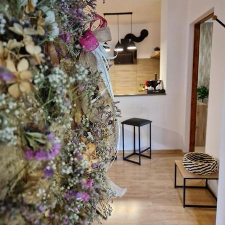 Apartament Mar&Mel Glucholazy Zewnętrze zdjęcie