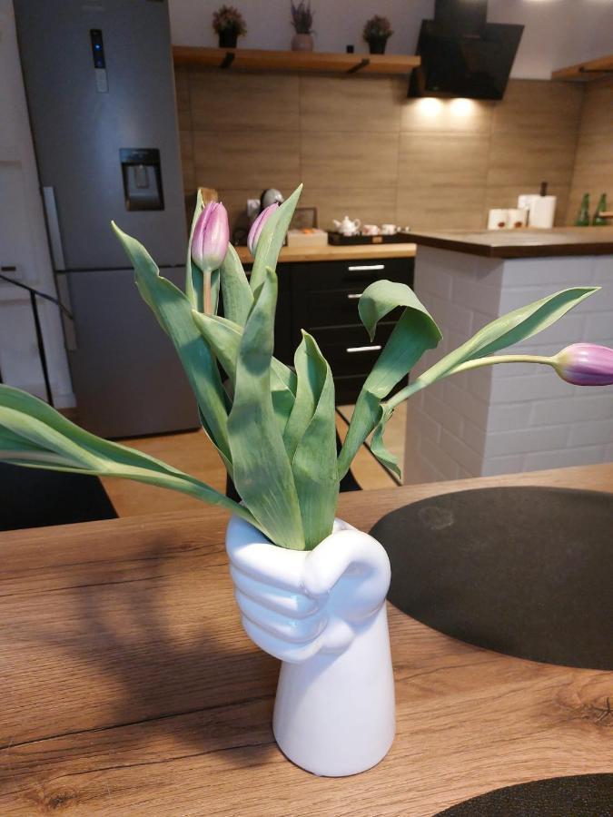Apartament Mar&Mel Glucholazy Zewnętrze zdjęcie