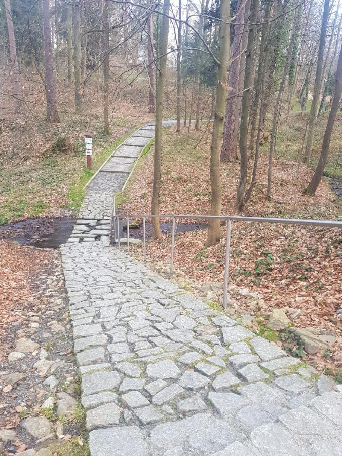 Apartament Mar&Mel Glucholazy Zewnętrze zdjęcie