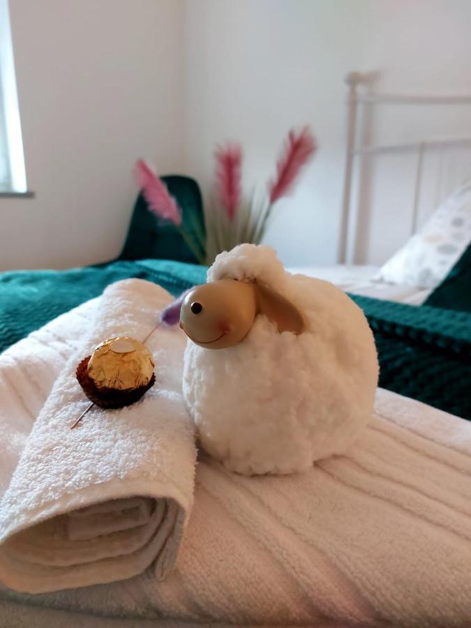 Apartament Mar&Mel Glucholazy Zewnętrze zdjęcie