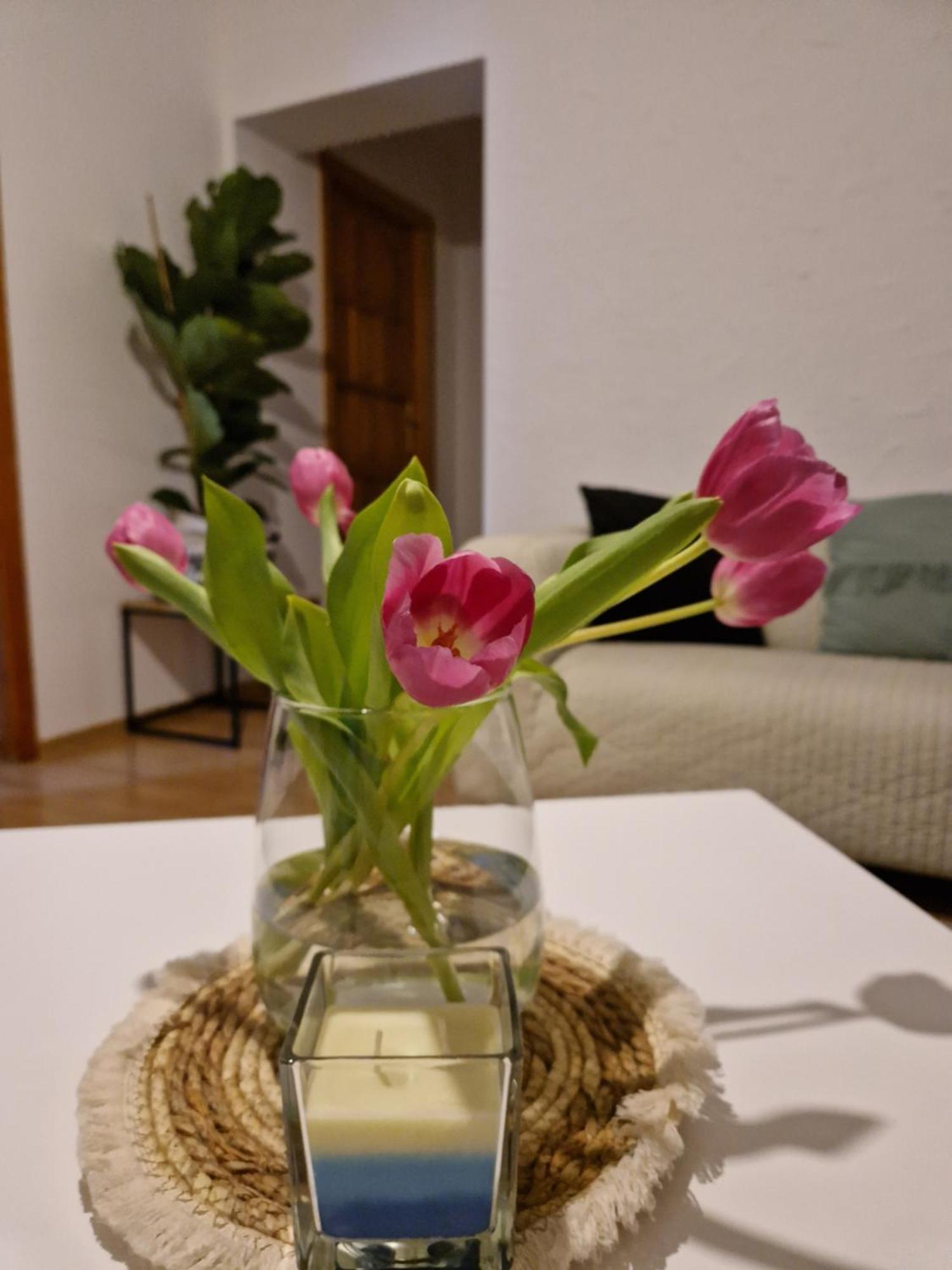 Apartament Mar&Mel Glucholazy Zewnętrze zdjęcie