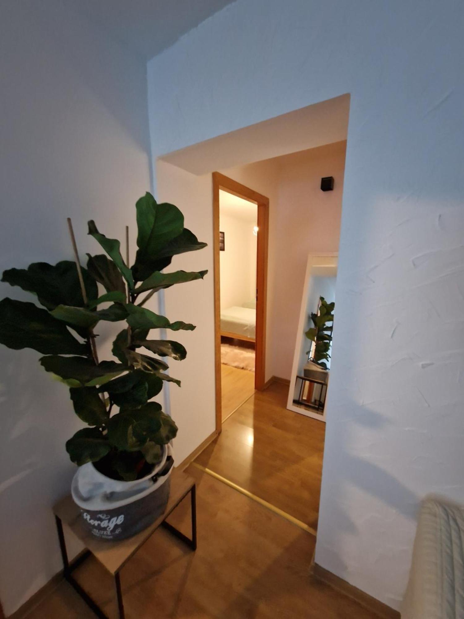 Apartament Mar&Mel Glucholazy Zewnętrze zdjęcie